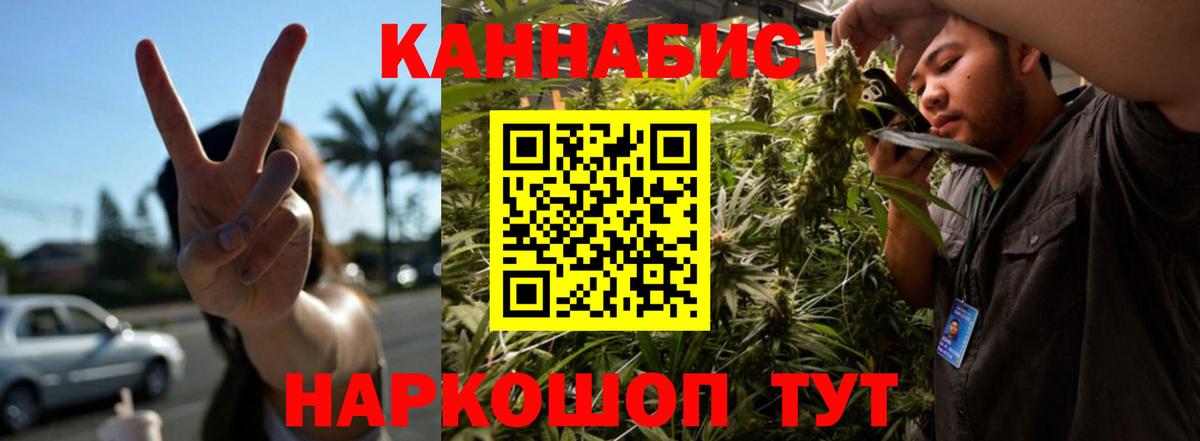 Чернушка  Конопля индика  Каннабис OG Kush  Вход с VPN  Конопля индика 
